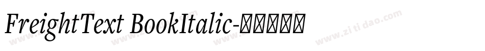 FreightText BookItalic字体转换